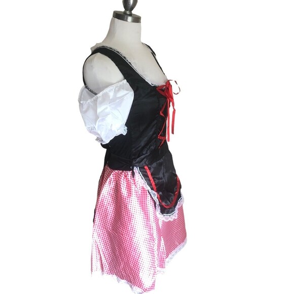 German Austrian Dirndl Dress Costume - Picture 3 of 9